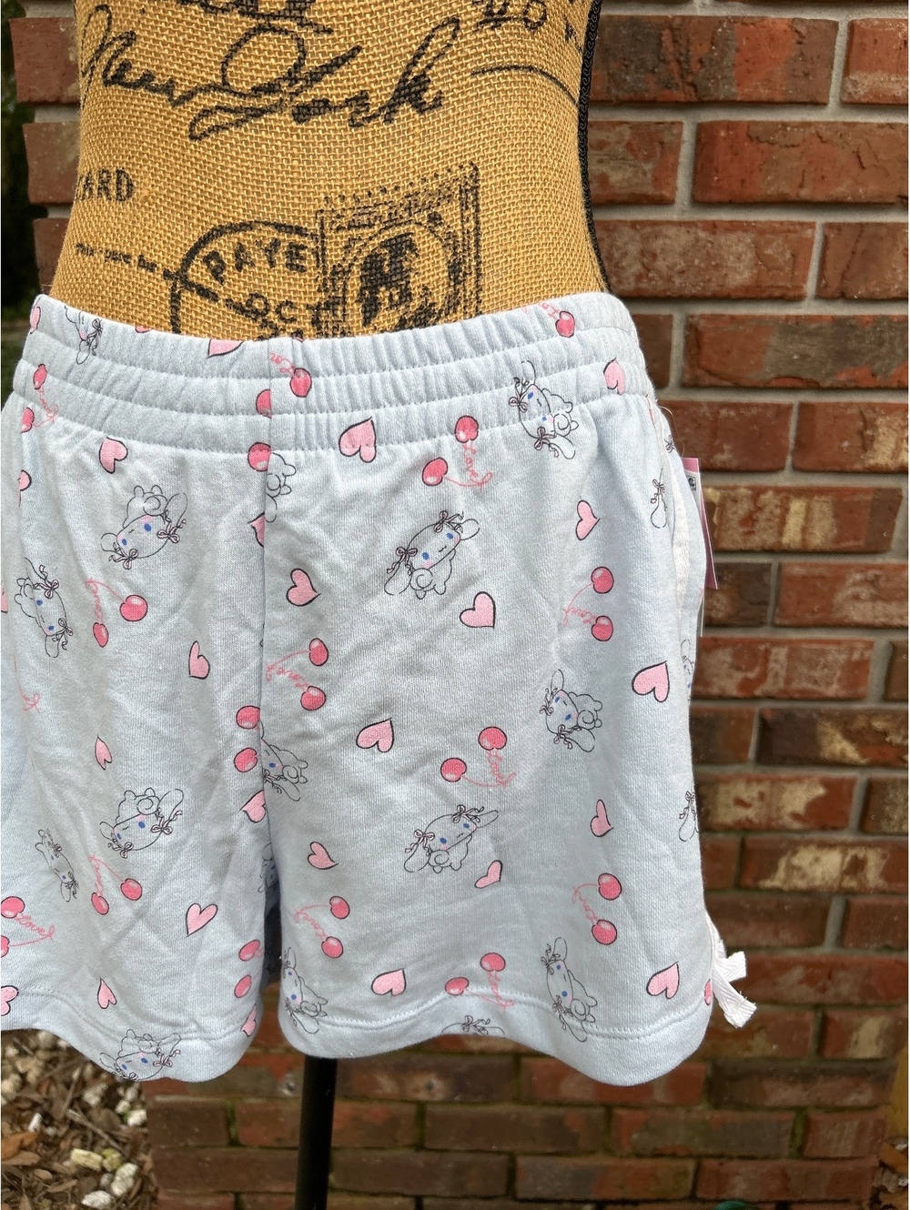 Sanrio Cinnamoroll Sleep Shorts Medium